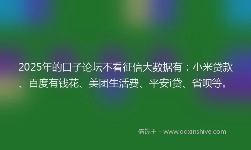 2025年的口子论坛不看征信大数据有：小米贷款、百度有钱花、美团生活费、平安i贷、省呗等。
