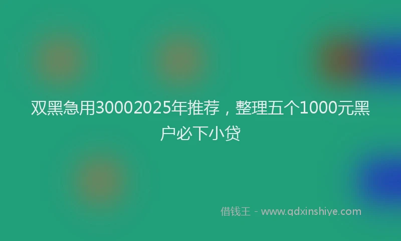 双黑急用30002025年推荐，整理五个1000元黑户必下小贷
