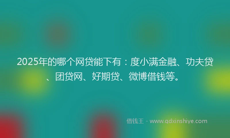 2025年的哪个网贷能下有：度小满金融、功夫贷、团贷网、好期贷、微博借钱等。