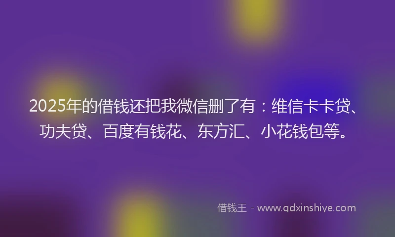 2025年的借钱还把我微信删了有：维信卡卡贷、功夫贷、百度有钱花、东方汇、小花钱包等。