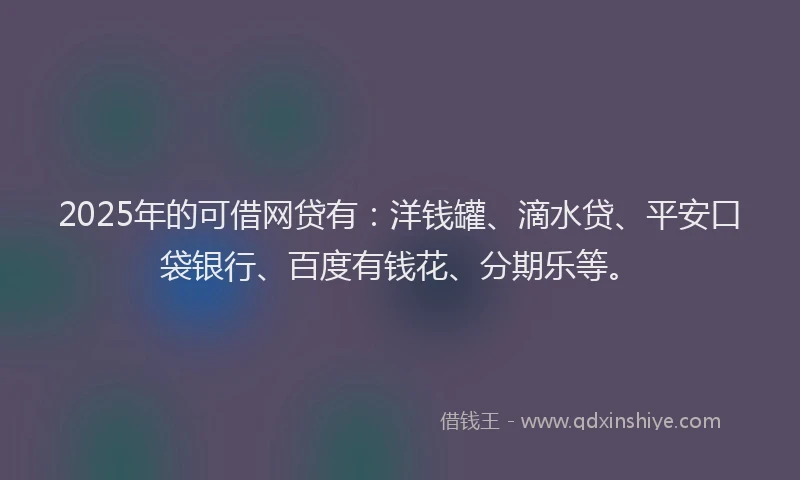 2025年的可借网贷有：洋钱罐、滴水贷、平安口袋银行、百度有钱花、分期乐等。