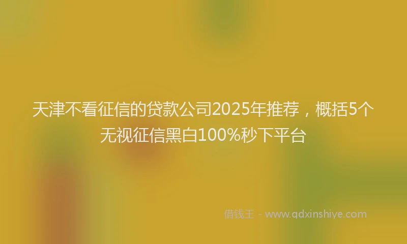 天津不看征信的贷款公司2025年推荐，概括5个无视征信黑白100%秒下平台