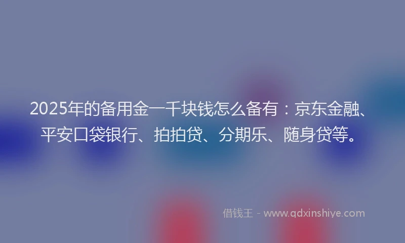 2025年的备用金一千块钱怎么备有：京东金融、平安口袋银行、拍拍贷、分期乐、随身贷等。