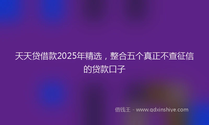 天天贷借款2025年精选，整合五个真正不查征信的贷款口子