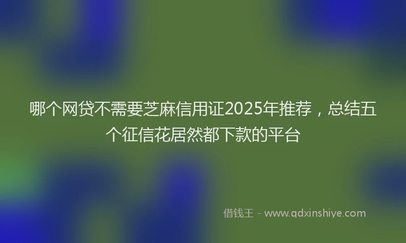 哪个网贷不需要芝麻信用证2025年推荐，总结五个征信花居然都下款的平台