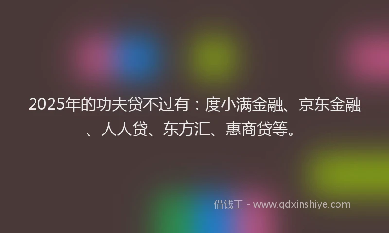 2025年的功夫贷不过有：度小满金融、京东金融、人人贷、东方汇、惠商贷等。