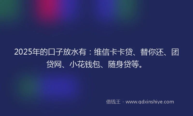 2025年的口子放水有：维信卡卡贷、替你还、团贷网、小花钱包、随身贷等。