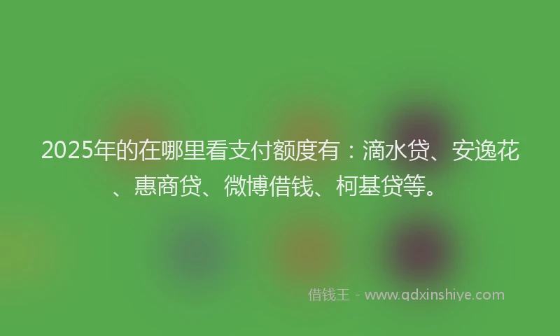 2025年的在哪里看支付额度有：滴水贷、安逸花、惠商贷、微博借钱、柯基贷等。