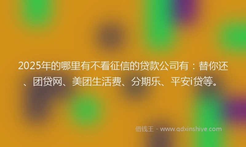 2025年的哪里有不看征信的贷款公司有：替你还、团贷网、美团生活费、分期乐、平安i贷等。
