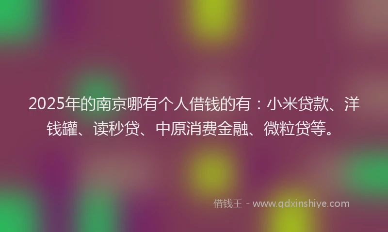 2025年的南京哪有个人借钱的有：小米贷款、洋钱罐、读秒贷、中原消费金融、微粒贷等。
