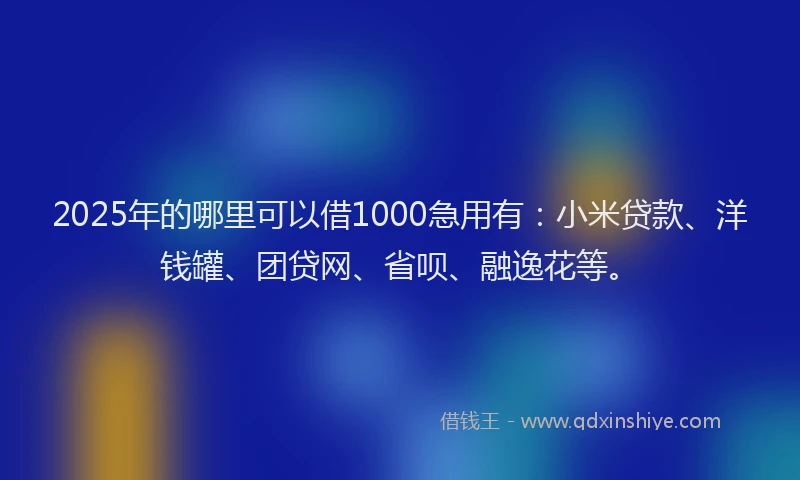 2025年的哪里可以借1000急用有：小米贷款、洋钱罐、团贷网、省呗、融逸花等。
