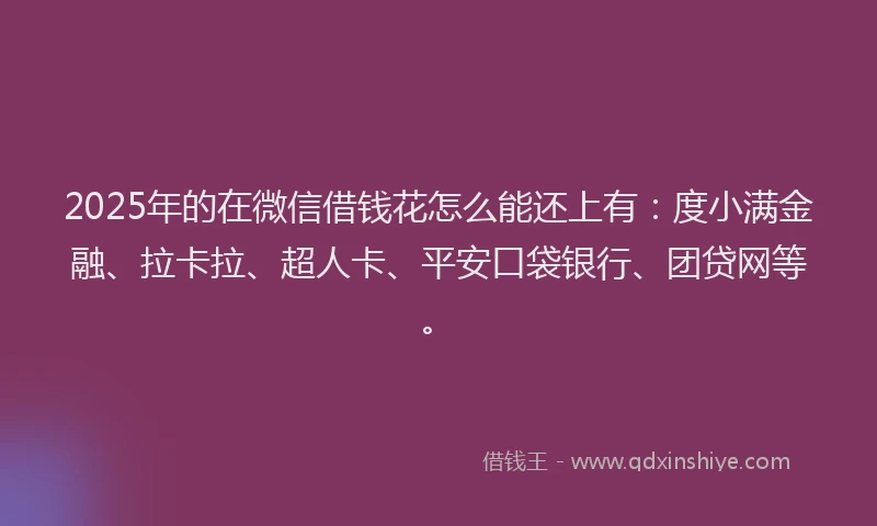 2025年的在微信借钱花怎么能还上有：度小满金融、拉卡拉、超人卡、平安口袋银行、团贷网等。