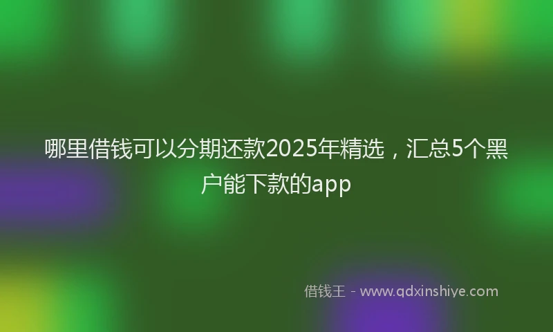 哪里借钱可以分期还款2025年精选，汇总5个黑户能下款的app