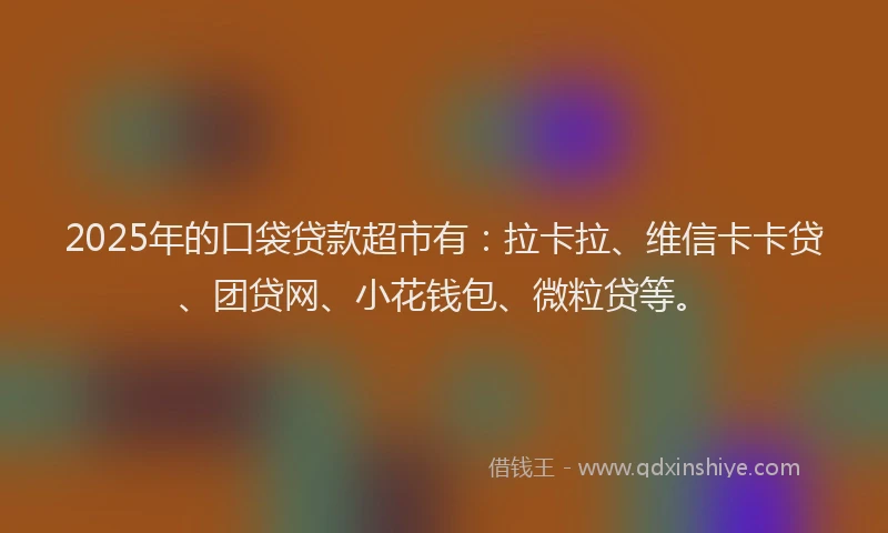2025年的口袋贷款超市有：拉卡拉、维信卡卡贷、团贷网、小花钱包、微粒贷等。