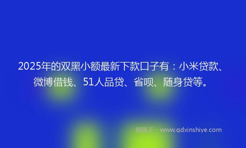 2025年的双黑小额最新下款口子有：小米贷款、微博借钱、51人品贷、省呗、随身贷等。