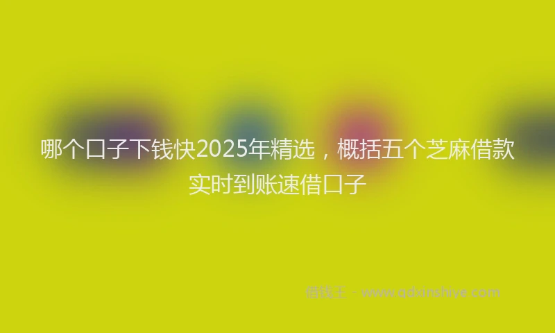 哪个口子下钱快2025年精选，概括五个芝麻借款实时到账速借口子