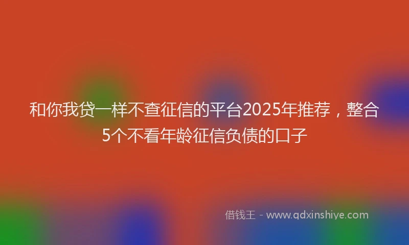 和你我贷一样不查征信的平台2025年推荐，整合5个不看年龄征信负债的口子