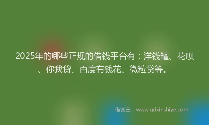 2025年的哪些正规的借钱平台有：洋钱罐、花呗、你我贷、百度有钱花、微粒贷等。