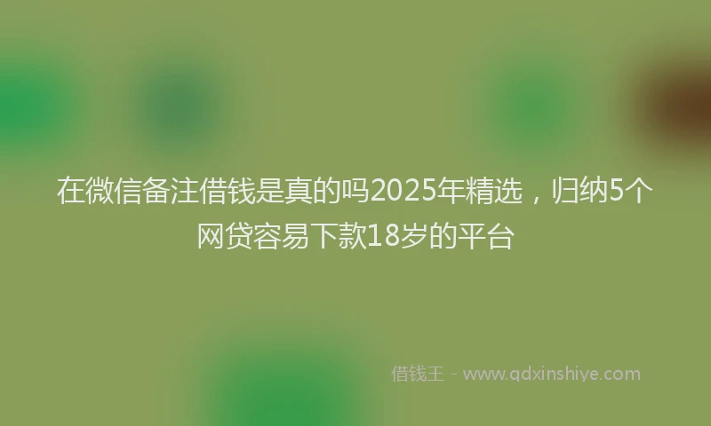 在微信备注借钱是真的吗2025年精选，归纳5个网贷容易下款18岁的平台