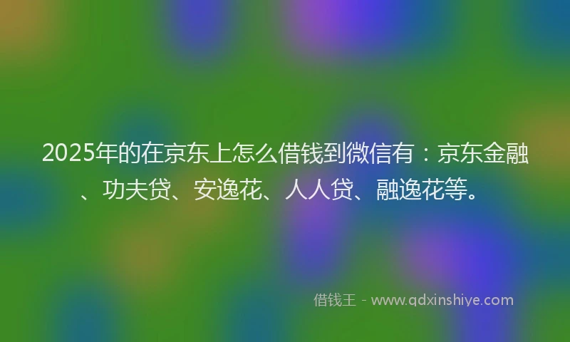2025年的在京东上怎么借钱到微信有：京东金融、功夫贷、安逸花、人人贷、融逸花等。