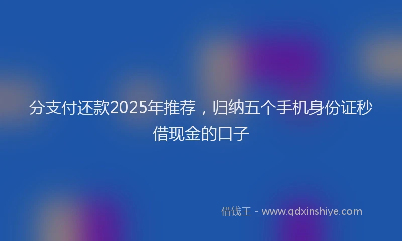 分支付还款2025年推荐，归纳五个手机身份证秒借现金的口子