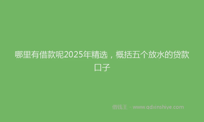 哪里有借款呢2025年精选，概括五个放水的贷款口子
