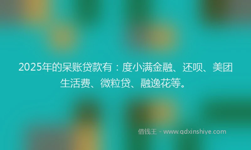 2025年的呆账贷款有：度小满金融、还呗、美团生活费、微粒贷、融逸花等。