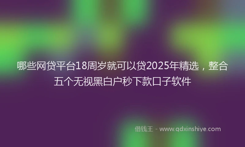哪些网贷平台18周岁就可以贷2025年精选，整合五个无视黑白户秒下款口子软件
