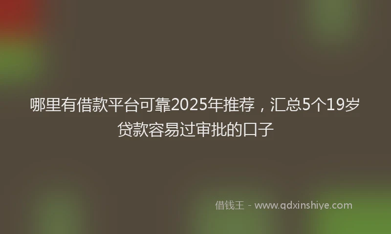 哪里有借款平台可靠2025年推荐，汇总5个19岁贷款容易过审批的口子