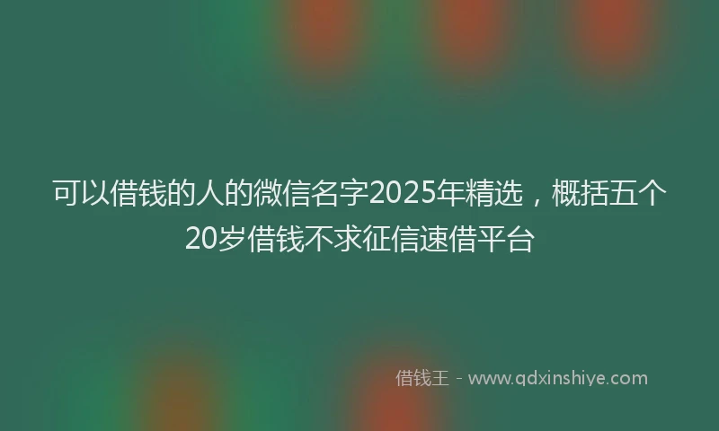 可以借钱的人的微信名字2025年精选，概括五个20岁借钱不求征信速借平台