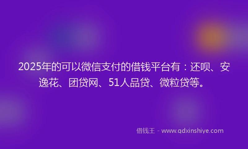 2025年的可以微信支付的借钱平台有：还呗、安逸花、团贷网、51人品贷、微粒贷等。