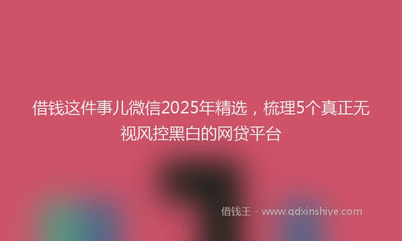 借钱这件事儿微信2025年精选，梳理5个真正无视风控黑白的网贷平台