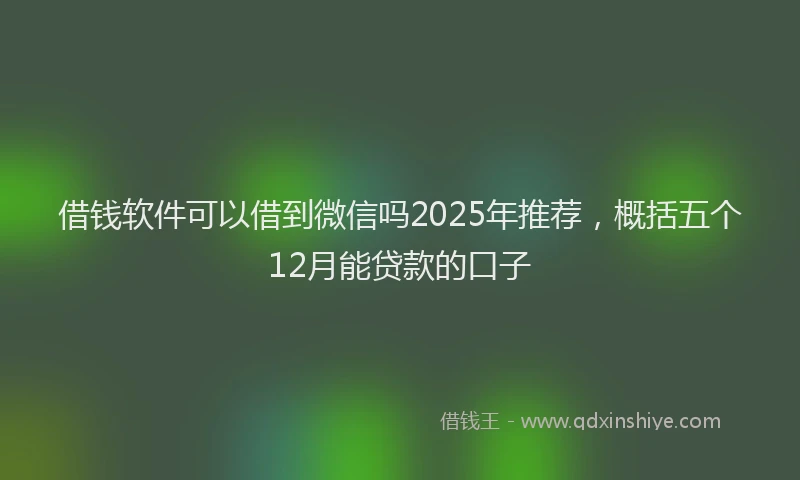 借钱软件可以借到微信吗2025年推荐，概括五个12月能贷款的口子