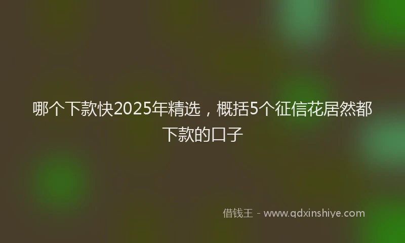哪个下款快2025年精选，概括5个征信花居然都下款的口子