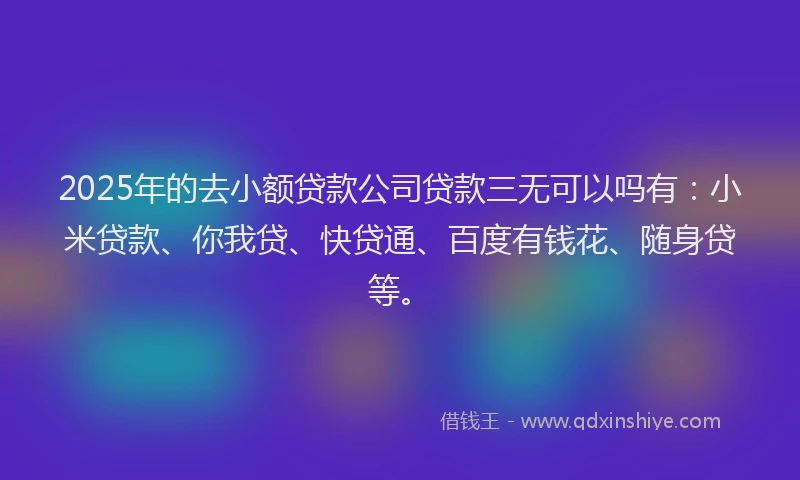 2025年的去小额贷款公司贷款三无可以吗有：小米贷款、你我贷、快贷通、百度有钱花、随身贷等。