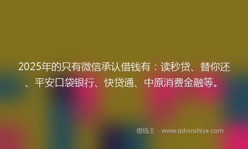 2025年的只有微信承认借钱有：读秒贷、替你还、平安口袋银行、快贷通、中原消费金融等。