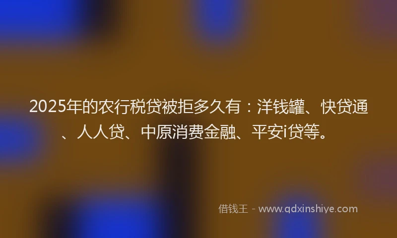 2025年的农行税贷被拒多久有：洋钱罐、快贷通、人人贷、中原消费金融、平安i贷等。