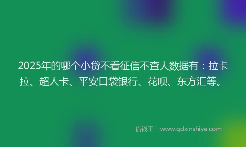 2025年的哪个小贷不看征信不查大数据有：拉卡拉、超人卡、平安口袋银行、花呗、东方汇等。