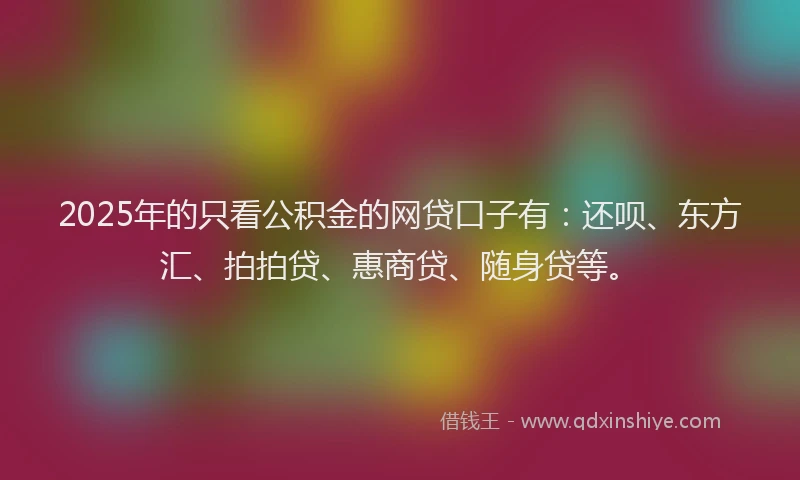 2025年的只看公积金的网贷口子有：还呗、东方汇、拍拍贷、惠商贷、随身贷等。