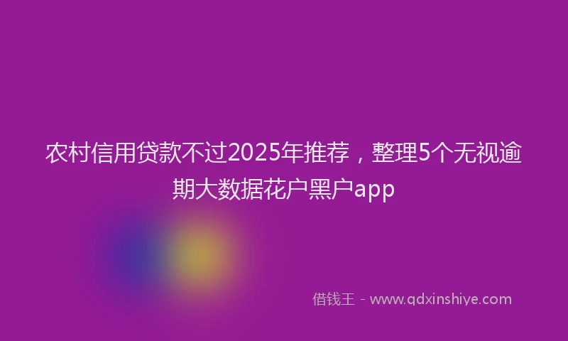 农村信用贷款不过2025年推荐，整理5个无视逾期大数据花户黑户app