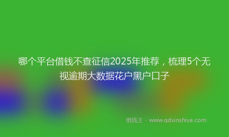 哪个平台借钱不查征信2025年推荐，梳理5个无视逾期大数据花户黑户口子