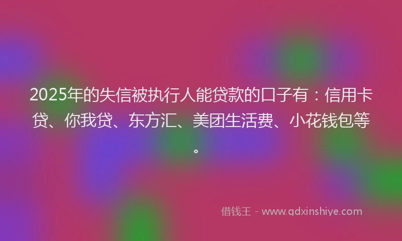 2025年的失信被执行人能贷款的口子有：信用卡贷、你我贷、东方汇、美团生活费、小花钱包等。