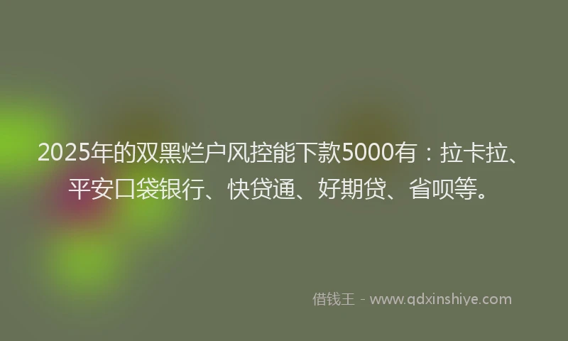 2025年的双黑烂户风控能下款5000有：拉卡拉、平安口袋银行、快贷通、好期贷、省呗等。