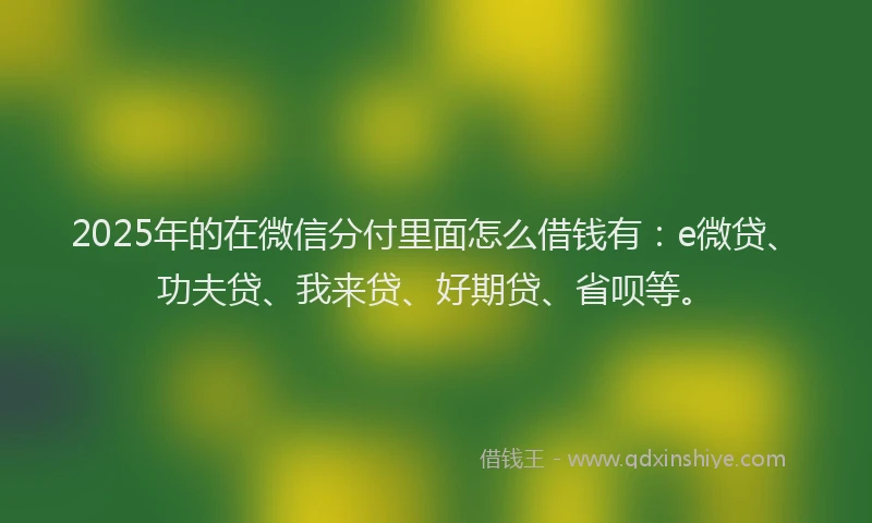 2025年的在微信分付里面怎么借钱有：e微贷、功夫贷、我来贷、好期贷、省呗等。