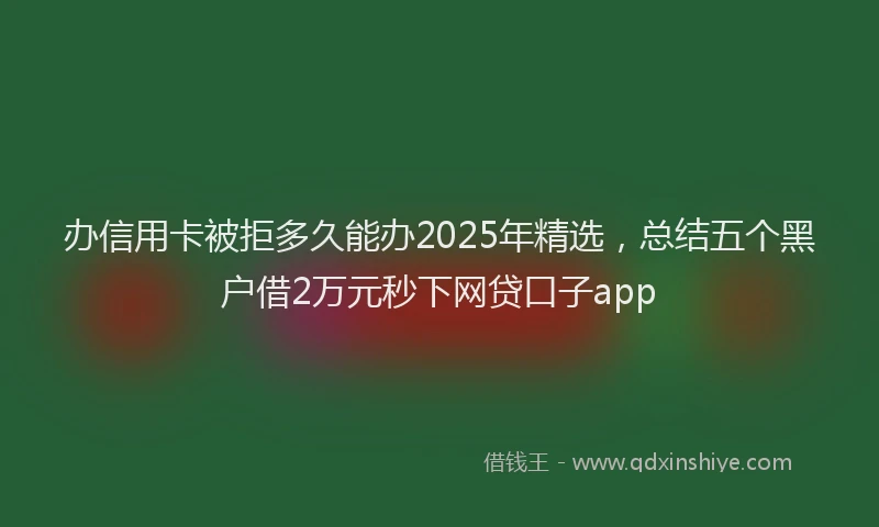 办信用卡被拒多久能办2025年精选，总结五个黑户借2万元秒下网贷口子app