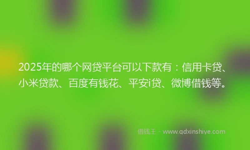 2025年的哪个网贷平台可以下款有：信用卡贷、小米贷款、百度有钱花、平安i贷、微博借钱等。