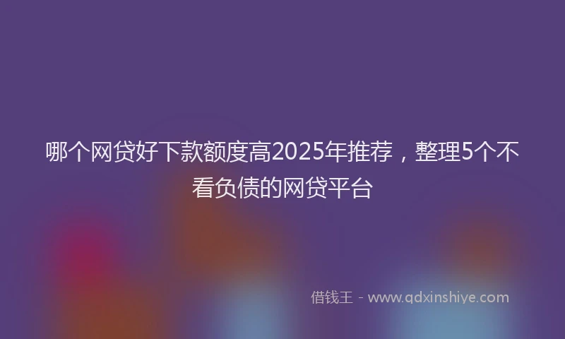 哪个网贷好下款额度高2025年推荐，整理5个不看负债的网贷平台