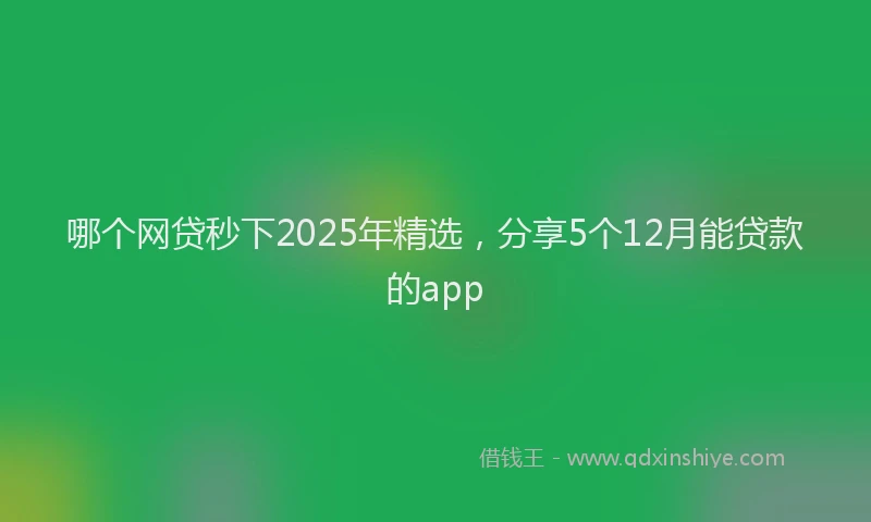 哪个网贷秒下2025年精选，分享5个12月能贷款的app