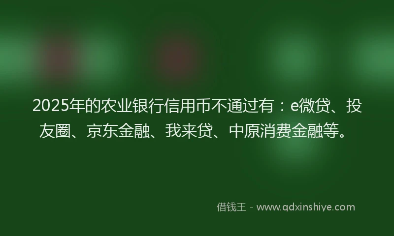 2025年的农业银行信用币不通过有：e微贷、投友圈、京东金融、我来贷、中原消费金融等。