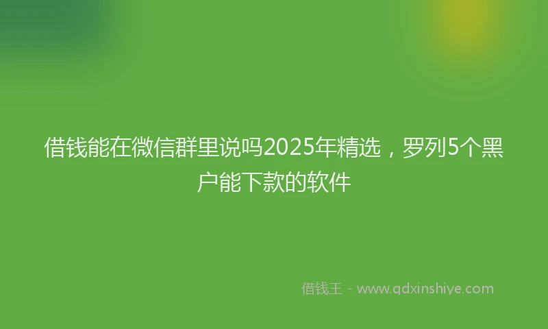 借钱能在微信群里说吗2025年精选，罗列5个黑户能下款的软件